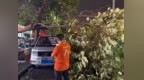 雨夜冲锋迎战暴雨险情 平安产险陕西分公司全力保障市民财产安全
