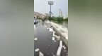 湖北嘉鱼一桥梁栏杆被大风吹倒摔碎 未见一点钢筋被质疑豆腐渣工程