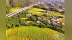 宜丰县累计盘活闲置资产2911.69万元 助推乡村振兴