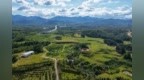 福彩公益润红土 特色产业铺就富民路