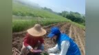 黄山屯溪：深耕农业普查 数智赋能乡村振兴