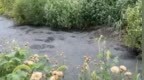 良田被毁，污水入河！这些民生治污工程形同虚设