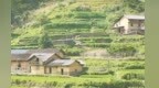从无人问津到游客不断 修水县千年古村蝶变