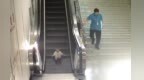 两岁幼童独自乘扶梯 地铁站保洁员及时发现帮其寻亲