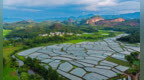 上饶铅山：产业兴 乡村美（图）