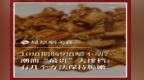 主厨时代丨10道鹅肠9道嚼不动？潮汕“最贵”大排档：有几个方法保持脆嫩