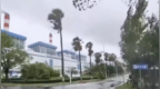 风雨强劲树木摇晃，工业镜头记录“白海豚”登陆瞬间