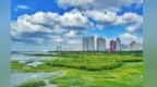 哈尔滨以生态环境“高颜值”赋能振兴发展“高质量”