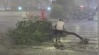 台风“白海豚”过境，路人奋力将倒伏树木拖到路边