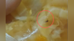 消费者投诉三只松鼠无骨凤爪有死蚊子，售后态度强硬：不寄回产品不赔偿