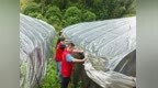 直击淳安一线守护瞬间：最是风雨见初心，最是细微暖人心