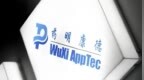 大涨 2000 亿，“扛住了”的药明康德， 还没迎来坦途