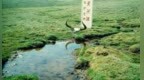 谝谝黄河那八个字的秘密
