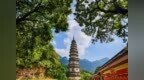 持《八仙！》票根免票！在济南灵岩换一场与时光的重逢