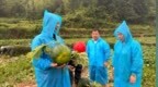 风雨助农暖人心 天台县新联会采收滞销西瓜致敬消防一线