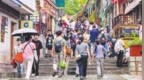 活力暑期 乐游庐山（图）
