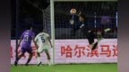 东北超︱1:1战平！哈尔滨队遗憾无缘全取三分