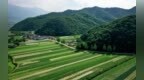 陕西农业锚定20项硬任务狠抓工作落实