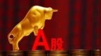 下周申购的4只新股，中签哪一只赚钱最多