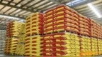 探寻双胞胎集团的突围之路：从“一袋饲料”到千亿全产业链龙头