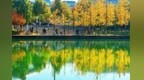 不只解放西 长沙夜游还藏了这些惊喜