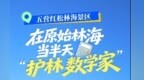 走，去伊春上一节自然课！