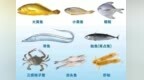 全是硬货！象山海鲜盛宴，开嗦！