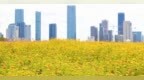 投书浦公园基本完工！南昌红谷滩区将新增一个都市滨水公园