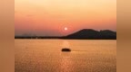 东湖凌波门的“追光经济学”