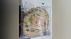 三只松鼠坚果车轮面包保质期内疑发霉长白毛，客服回应