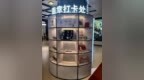 首次推出！哈尔滨市工人文化宫文创好物、限定套色印章上新