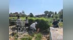 山水咸阳│烈日砺初心 监测护碧水