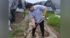 迎战 “白海豚”，国元保险安徽分公司火速行动（二）