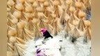 吉水竹编在“云端”热销！订单排到半年后，远销多个国家