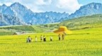 甘肃民乐大“油”看头
