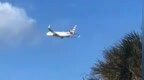 美国航空一客机遭鸟击后紧急返航