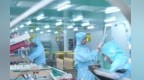 人口不到40万，这座赣南小城的外资逆势增长密码是什么？