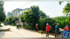 宿州市埇桥区永安镇：整治焕新颜 乡村展新貌
