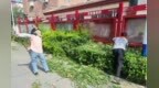 保定涿州市孙家庄乡：聚力环保提质行动，绘就和美乡村新画卷