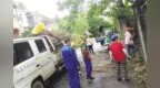 南昌县绿地山庄绿化带内存在大量建筑垃圾 县创建办：清理完毕
