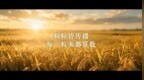 《粒粒皆传播，每一粒米都算数》