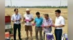 中国移动安徽公司淮北分公司：深耕基层网格，让便民服务扎根淮北乡野