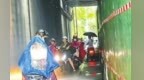 九江长虹大道一桥洞雨后持续滴水数月 市民过路遭淋“脏水”