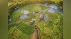 郭文海五桂山街道调研“百千万工程” 努力打造大湾区文旅康养目的地