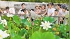 河北：公益托管，暖心守护多彩假期
