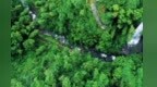 上半年南昌市超额完成造林绿化任务 绿色家底更加厚实