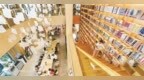 奉新县：品味书香 收获成长（图）
