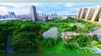 九江濂溪区：绿意消暑增幸福（图）