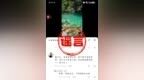 为博流量散布网络谣言！合肥警方通报