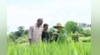 一粒种子一生坚守，“江西好人”邓俊忠的田间守望